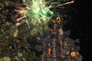 elha_2012