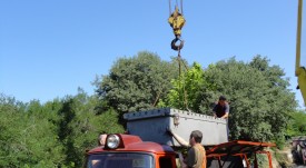 DSC02010