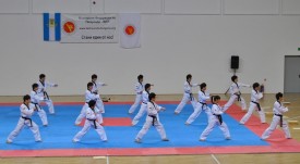 лого таекуон до