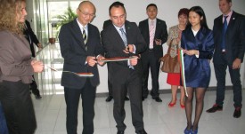 office_shenzhen_lenta