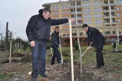 zalesyavane_grebna_baza