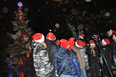 elha_svetlini_2014