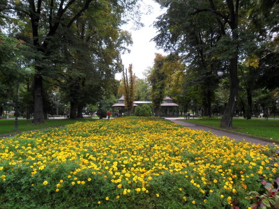 esenno_zacvetqvane
