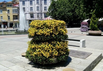cvetni_piramidi