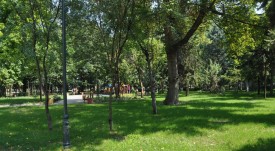 park