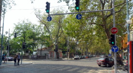 vazov_1