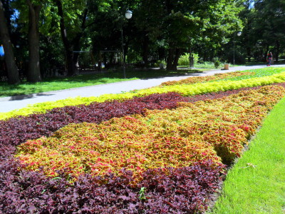 SAM_3027