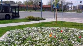 svetofar_trakiq