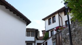 ul_zanayati_strumna
