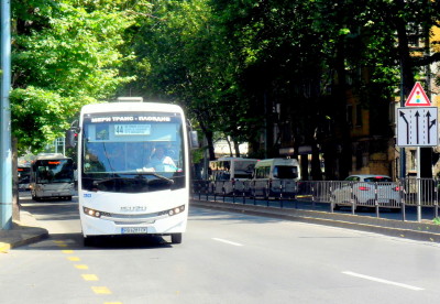avapiq_car_boris