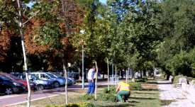 polivna_sistema_4