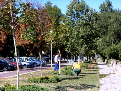 polivna_sistema_4