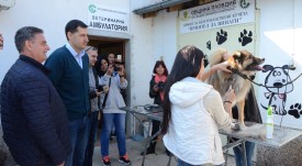 den_jivotni_kucheta
