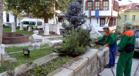 esenni_cvetq_13