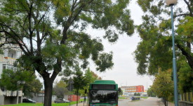 37_promqna