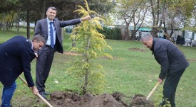 zalesyavane_mladejki_center_15112017