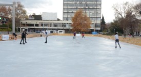 purzalka_2017