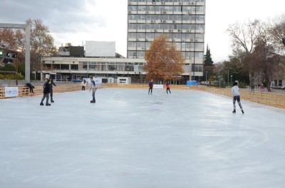 purzalka_2017