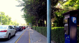 sinq_zona
