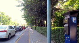 sinq_zona