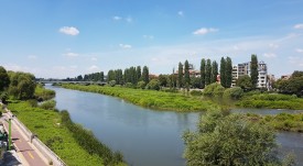 marica