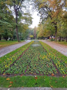 esenni_cvetq_2