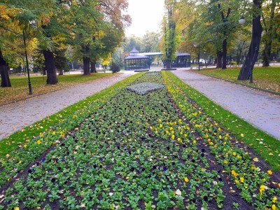 esenni_cvetq_5