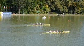fisa_grebane2_15092018
