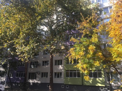 severen_parking (6)