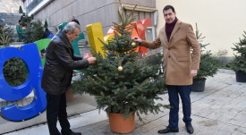 borcheta_stulbi_kamenitza (3)