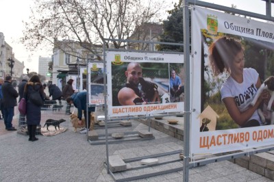 kucheta za odomashnyavane (1)