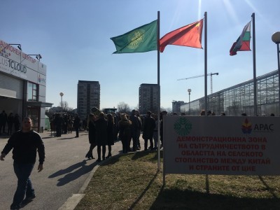 au_zona_china_21022019_4