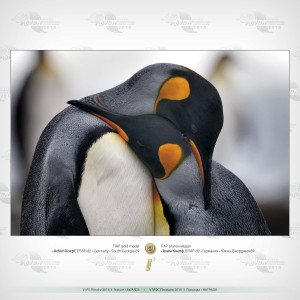 3_Nature_FIAP_Gold