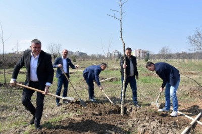 zalesyavane v park lauta (1)