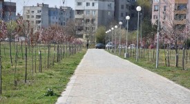 zalesyavane v park lauta (20)