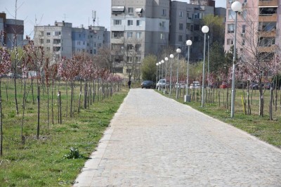 zalesyavane v park lauta (20)