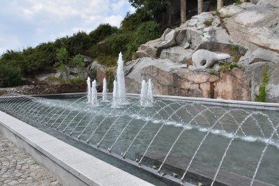 bunardjika_inspekcia_31052019_2