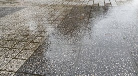 20191126_085711