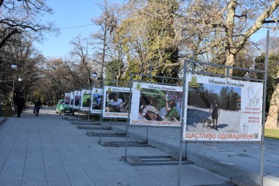 izlojba_bezdomni kucheta (1)