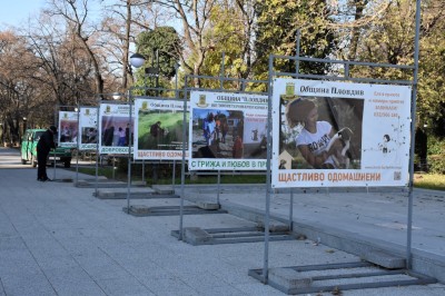 izlojba_bezdomni kucheta (2)