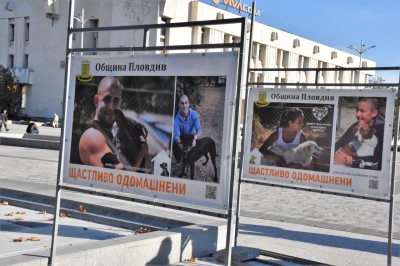 izlojba_bezdomni kucheta (3)
