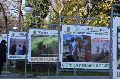 izlojba_bezdomni kucheta (4)