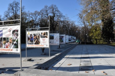 izlojba_bezdomni kucheta (6)