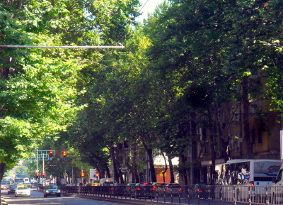 car_boris_remont