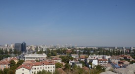 DSC_2541