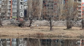 marica_1