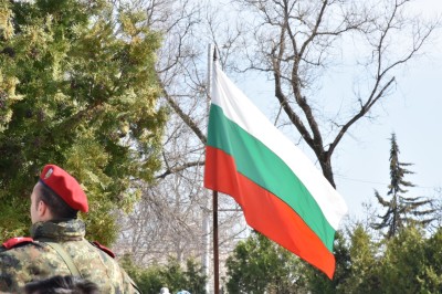 resized_DSC_0305_Голям