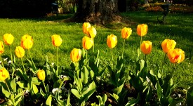 20170412_083858