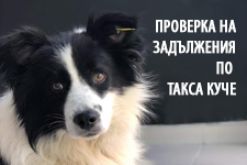 (Български) Проверка на задължения при притежание на домашно куче 