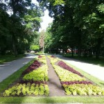 car_simeonova_gradina_6